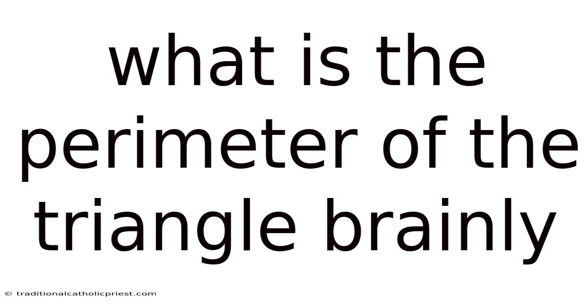What Is The Perimeter Of The Triangle Brainly