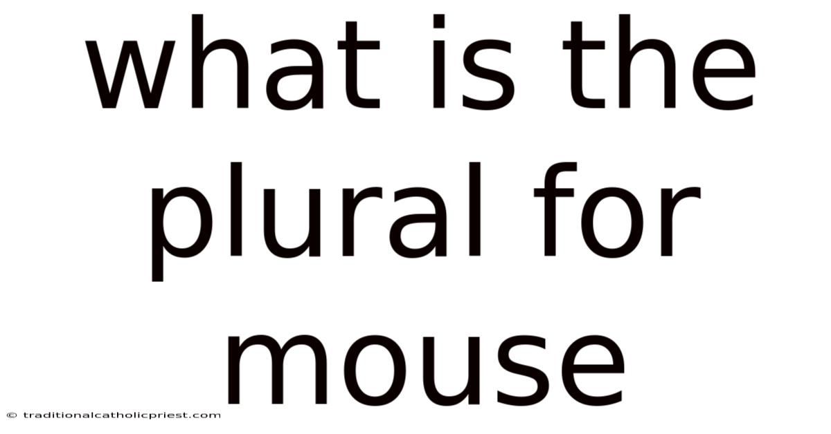 What Is The Plural For Mouse