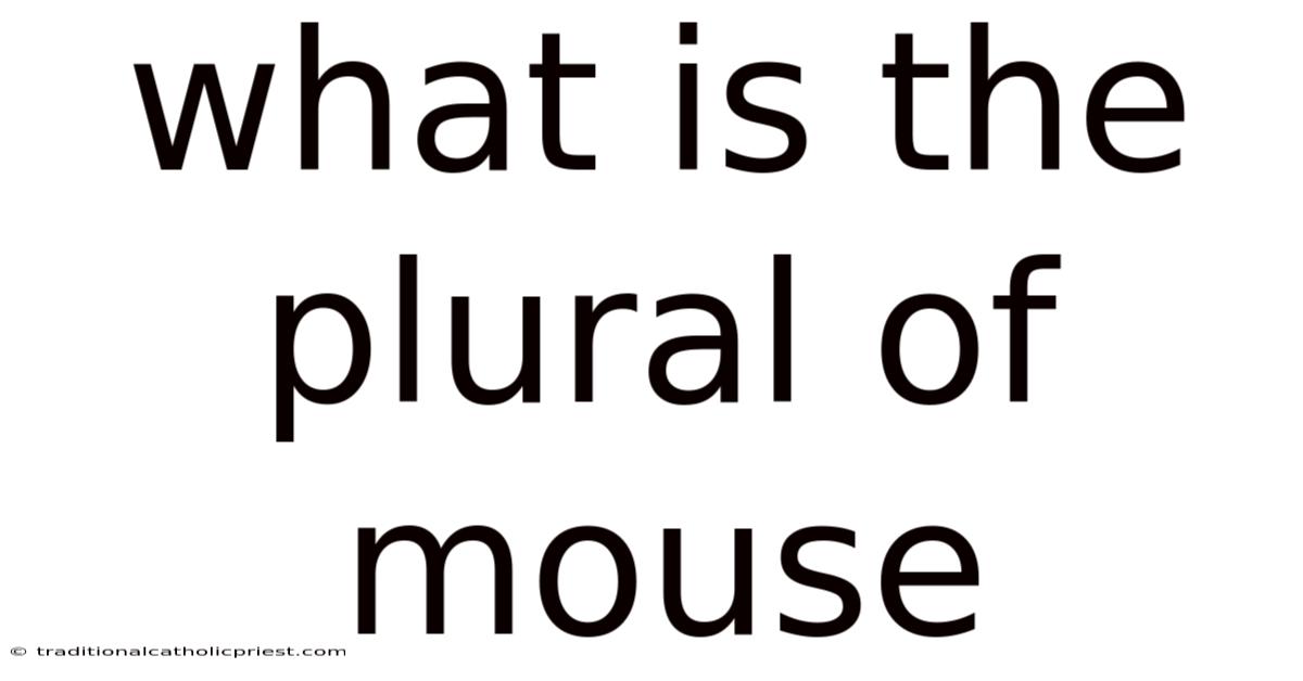 What Is The Plural Of Mouse