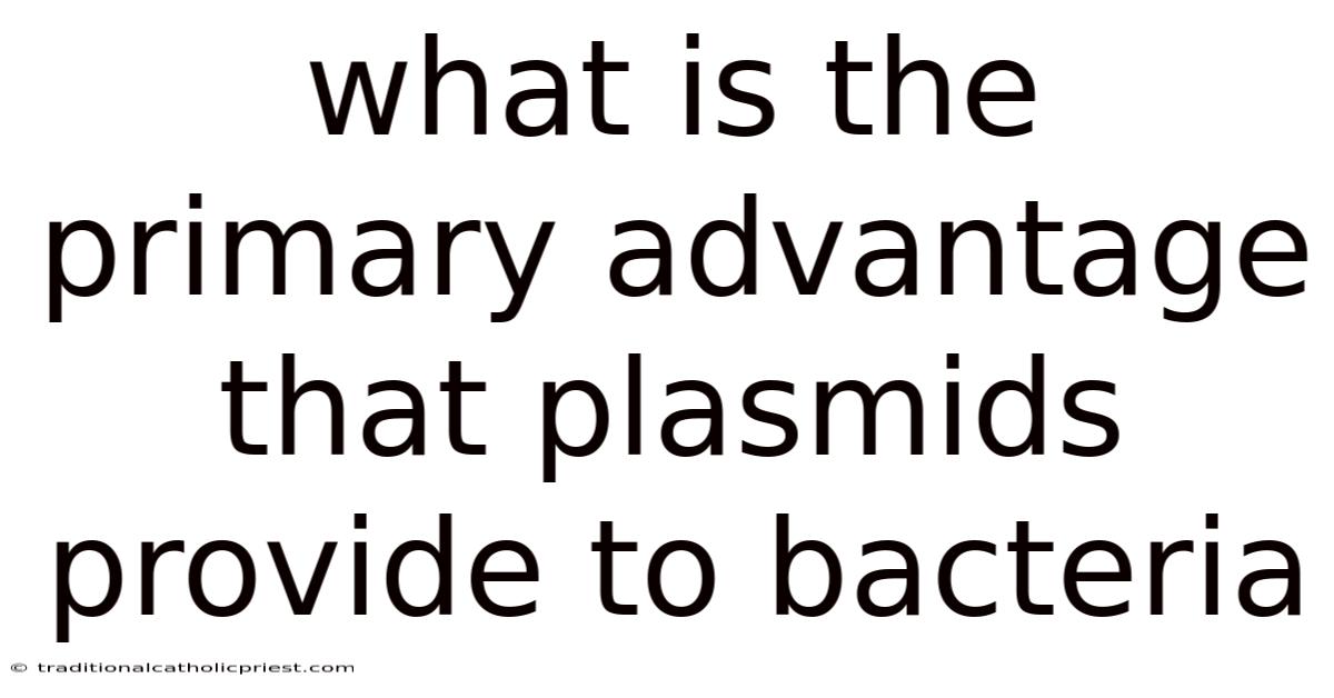 What Is The Primary Advantage That Plasmids Provide To Bacteria