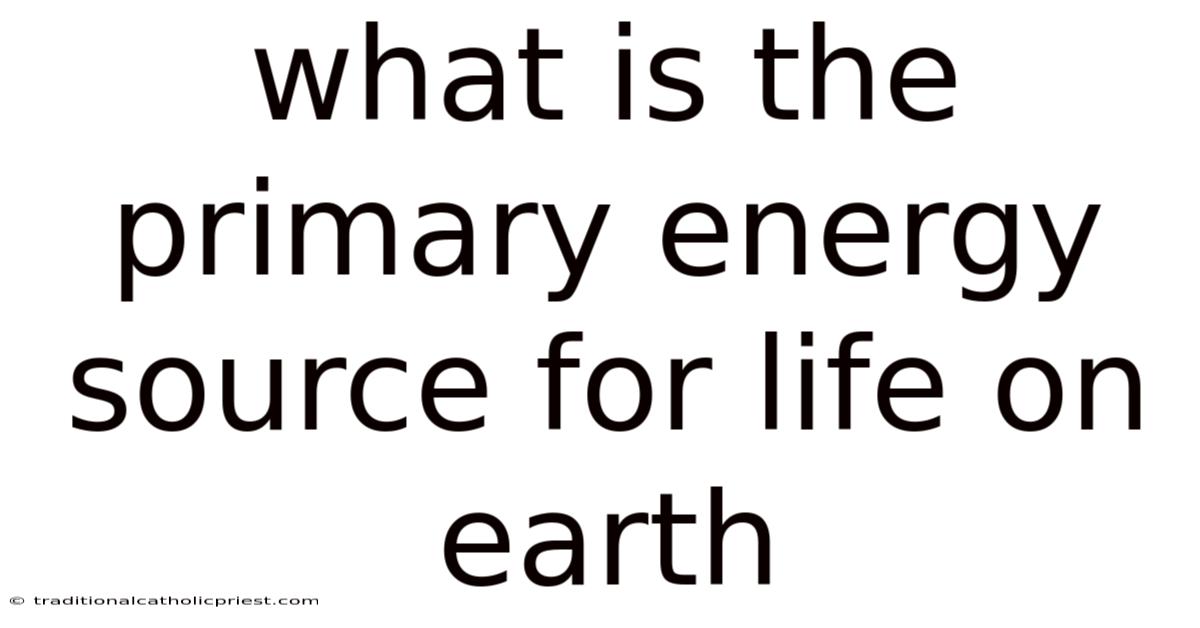 What Is The Primary Energy Source For Life On Earth