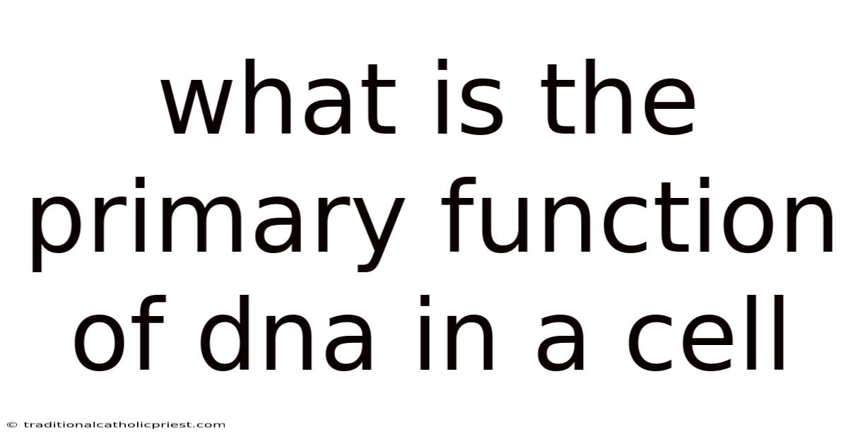 What Is The Primary Function Of Dna In A Cell
