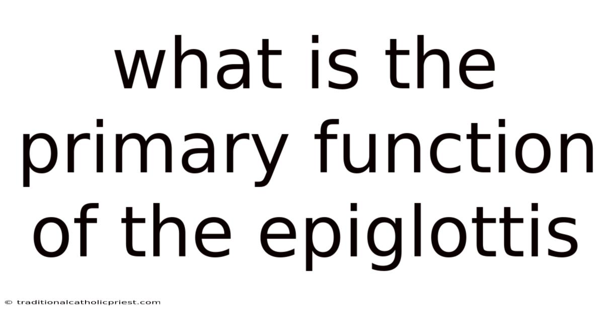 What Is The Primary Function Of The Epiglottis