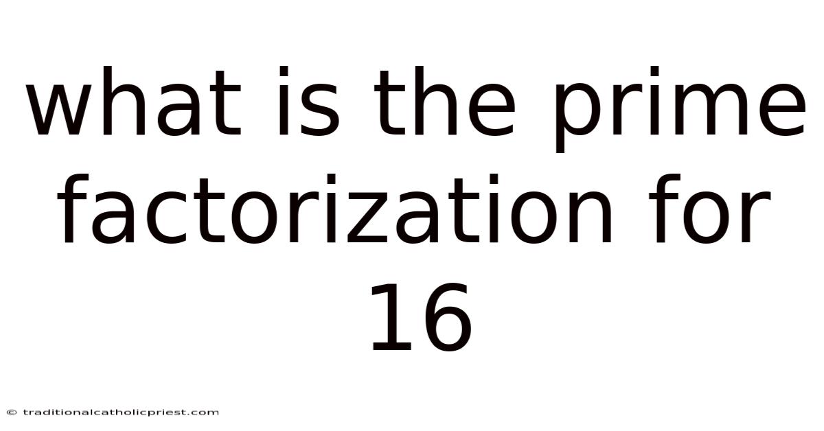 What Is The Prime Factorization For 16