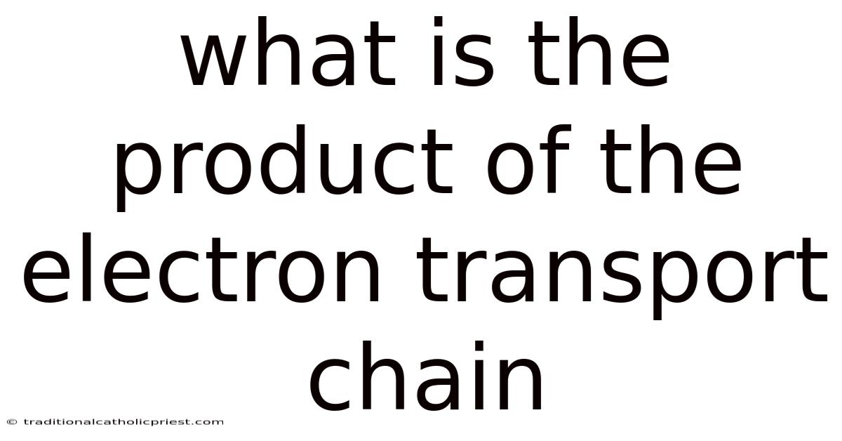 What Is The Product Of The Electron Transport Chain