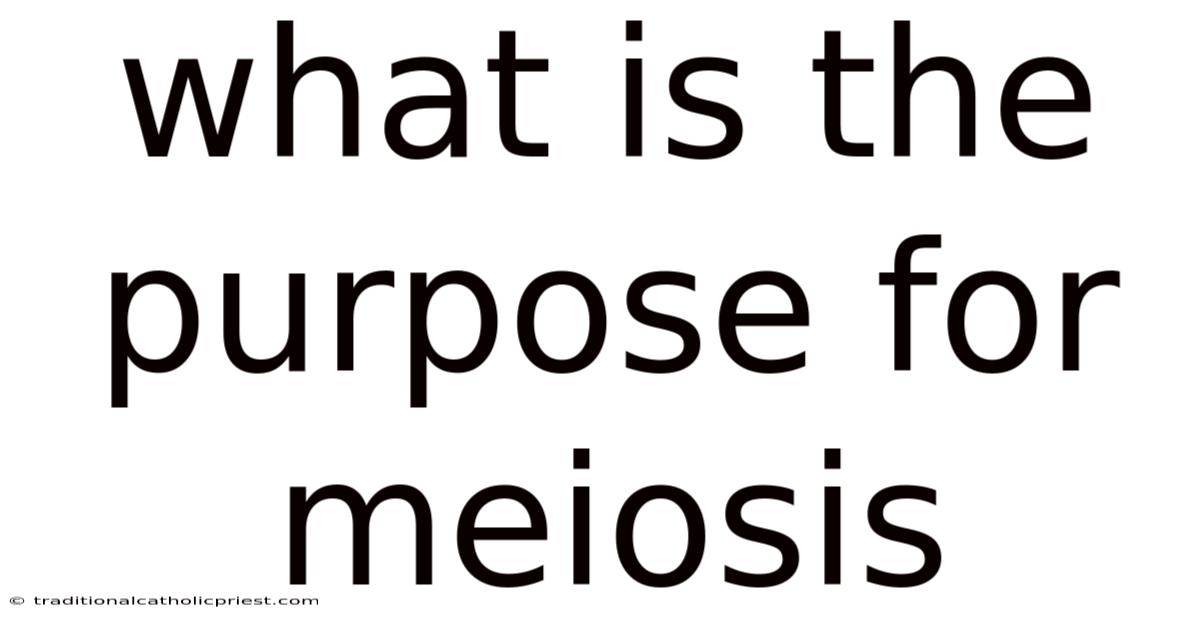 What Is The Purpose For Meiosis