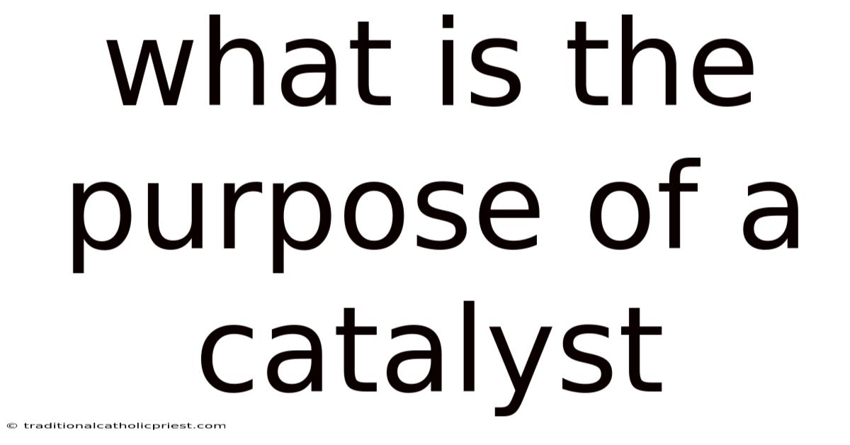 What Is The Purpose Of A Catalyst