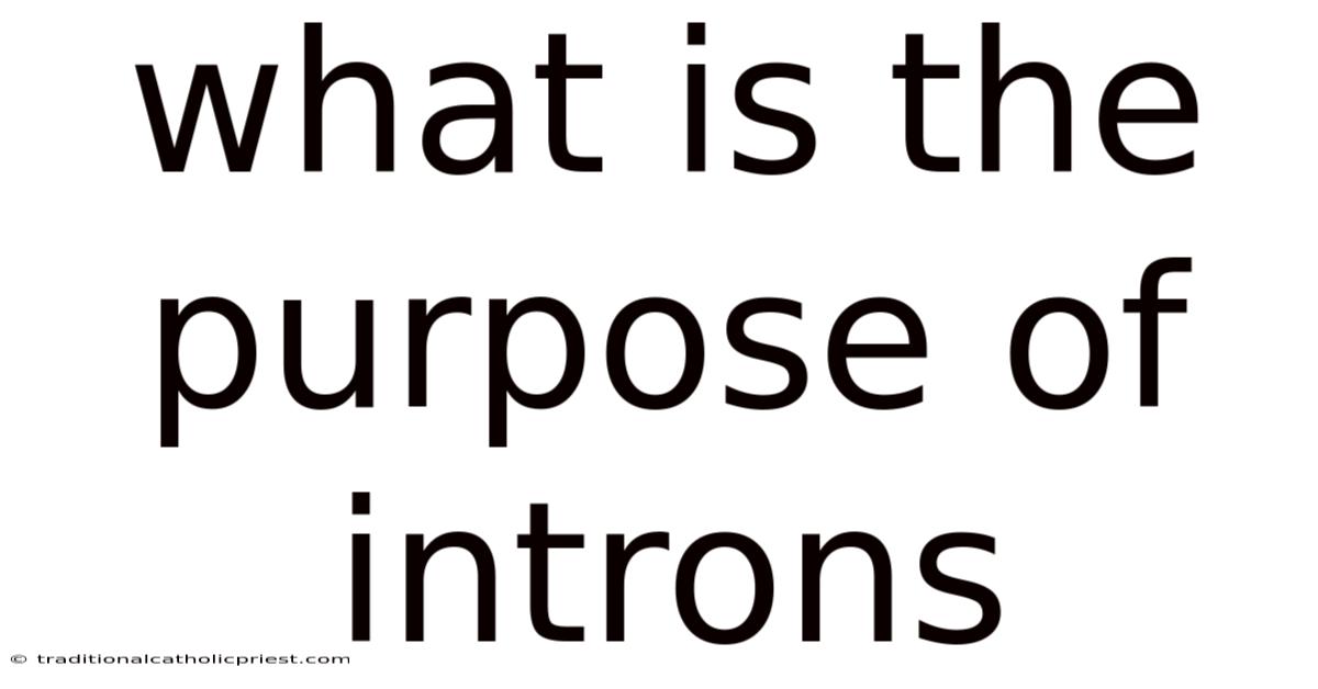 What Is The Purpose Of Introns