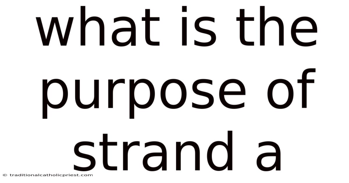 What Is The Purpose Of Strand A
