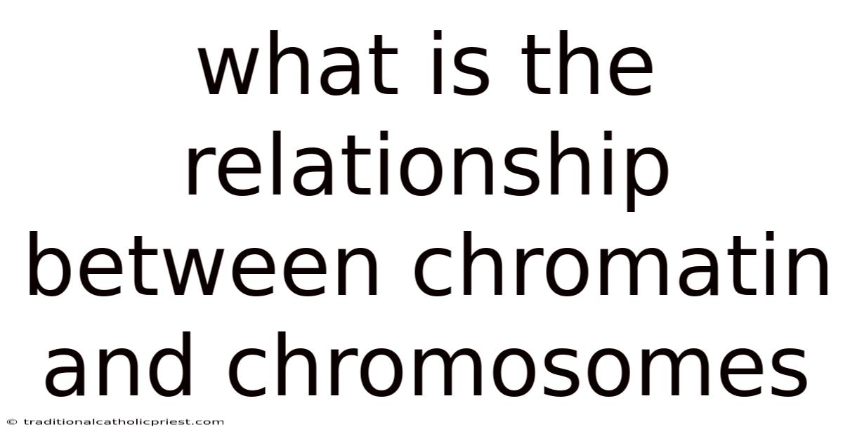 What Is The Relationship Between Chromatin And Chromosomes