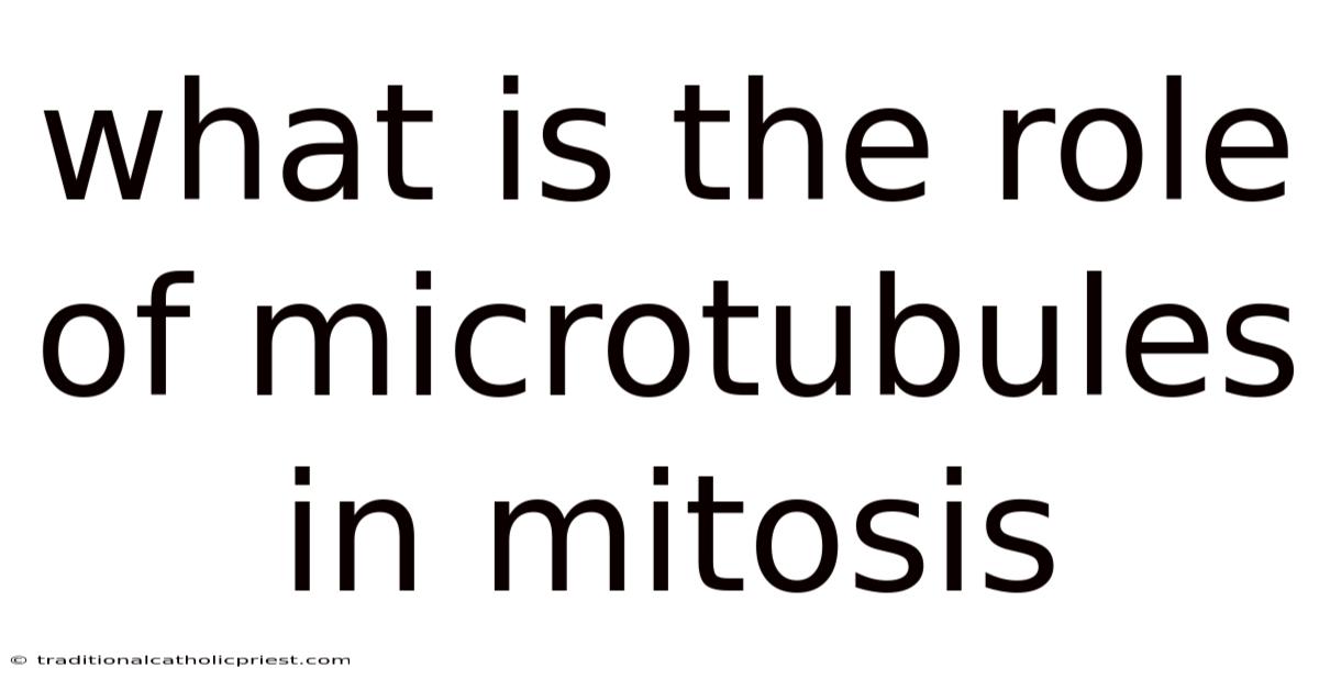 What Is The Role Of Microtubules In Mitosis