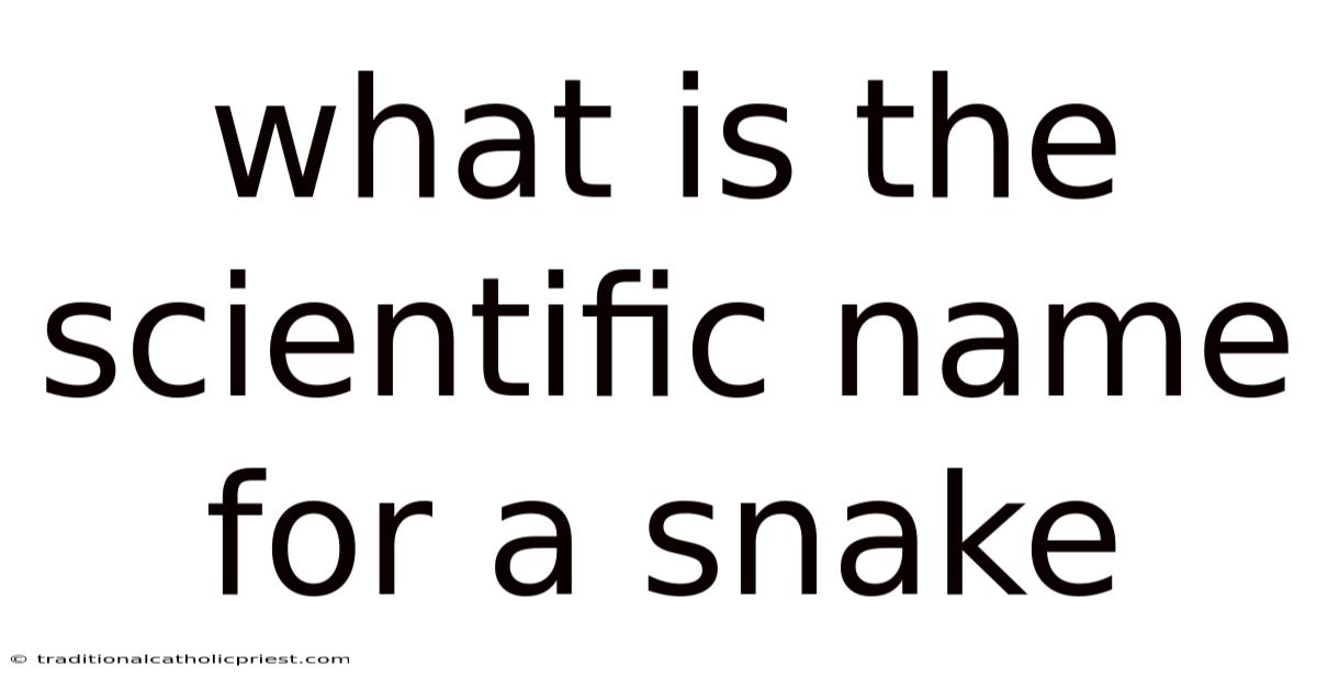 What Is The Scientific Name For A Snake