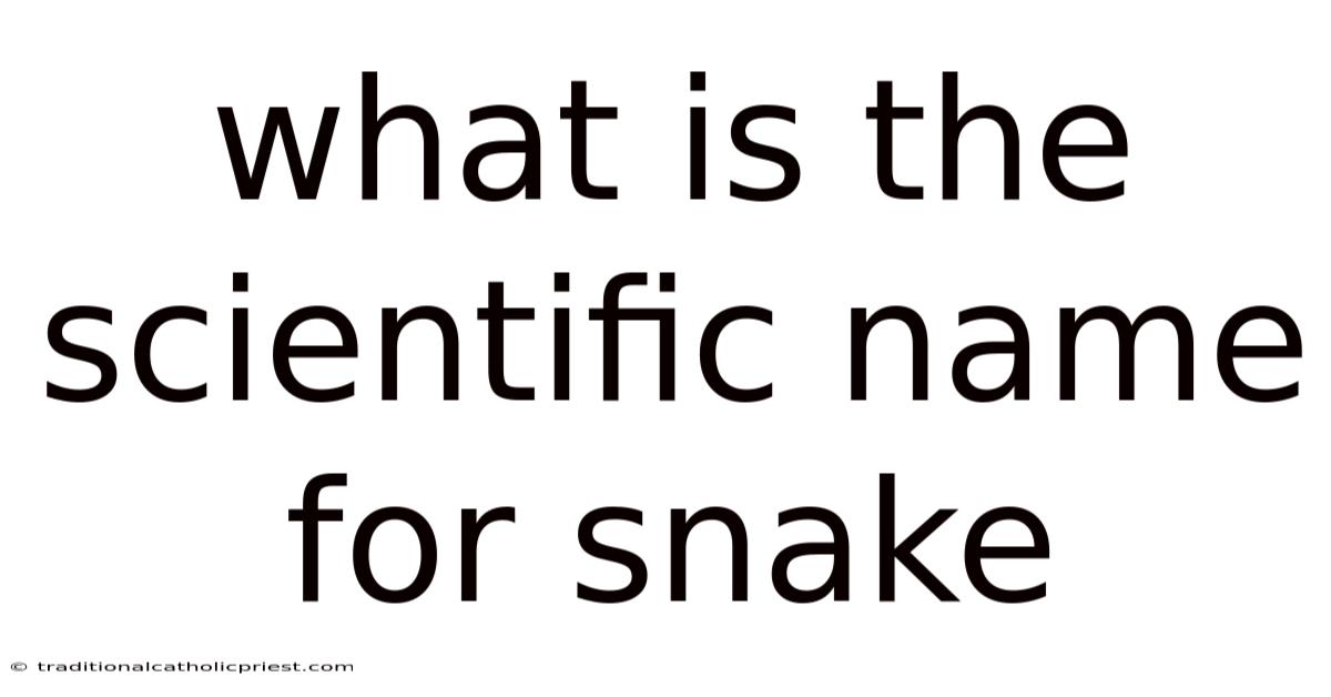 What Is The Scientific Name For Snake