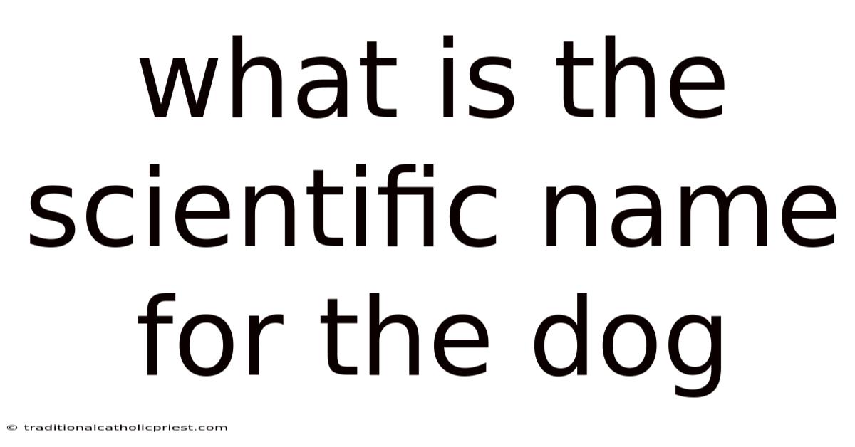 What Is The Scientific Name For The Dog