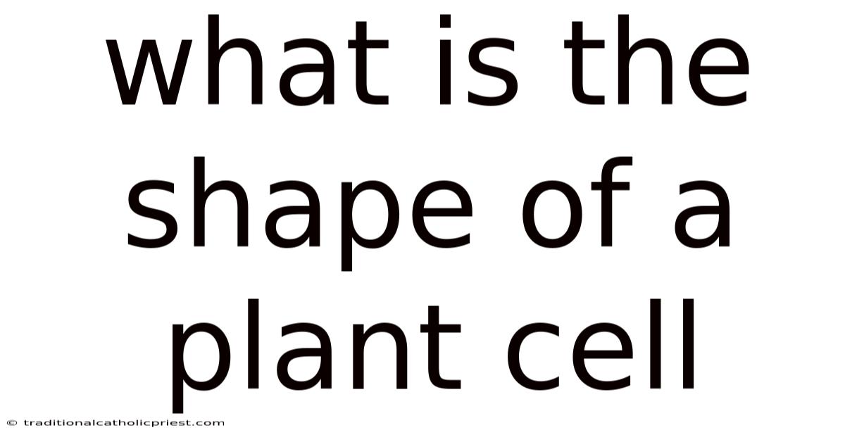 What Is The Shape Of A Plant Cell