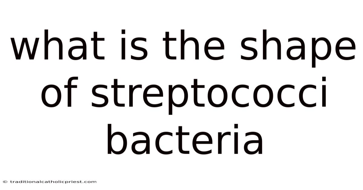 What Is The Shape Of Streptococci Bacteria