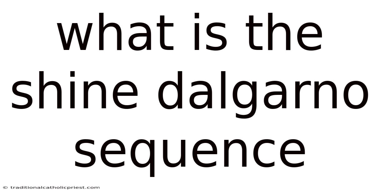 What Is The Shine Dalgarno Sequence