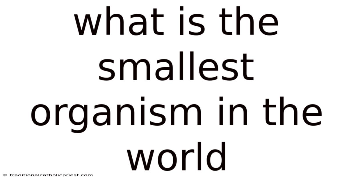 What Is The Smallest Organism In The World