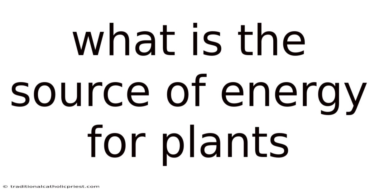 What Is The Source Of Energy For Plants