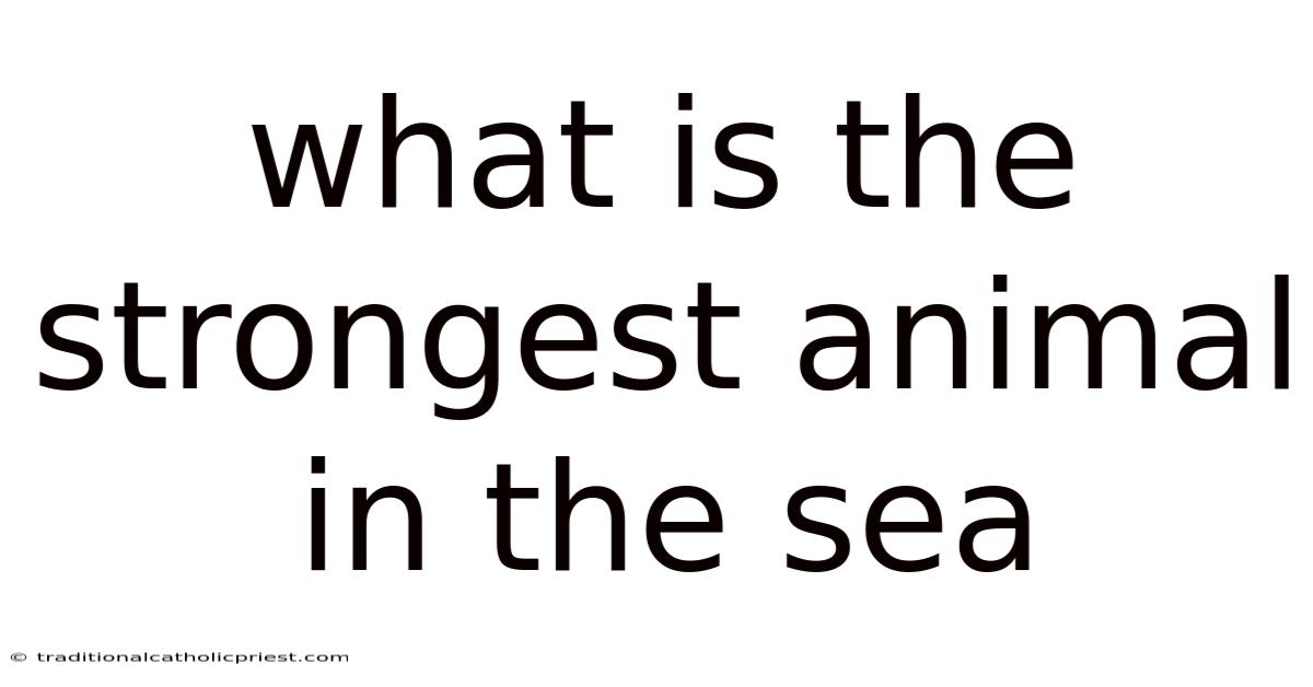 What Is The Strongest Animal In The Sea