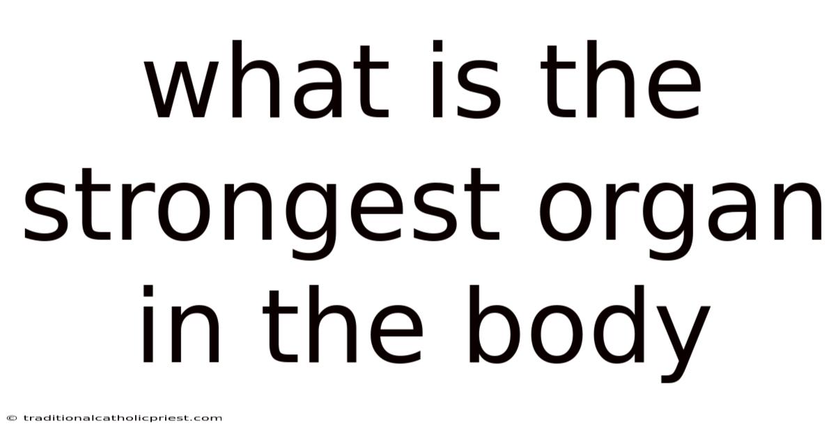 What Is The Strongest Organ In The Body