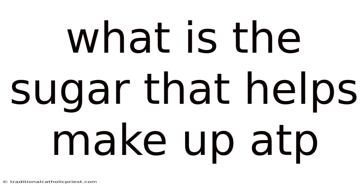 What Is The Sugar That Helps Make Up Atp