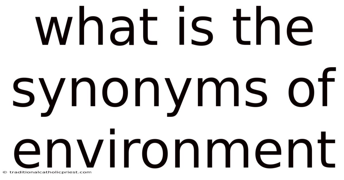 What Is The Synonyms Of Environment