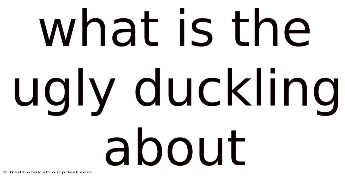 What Is The Ugly Duckling About