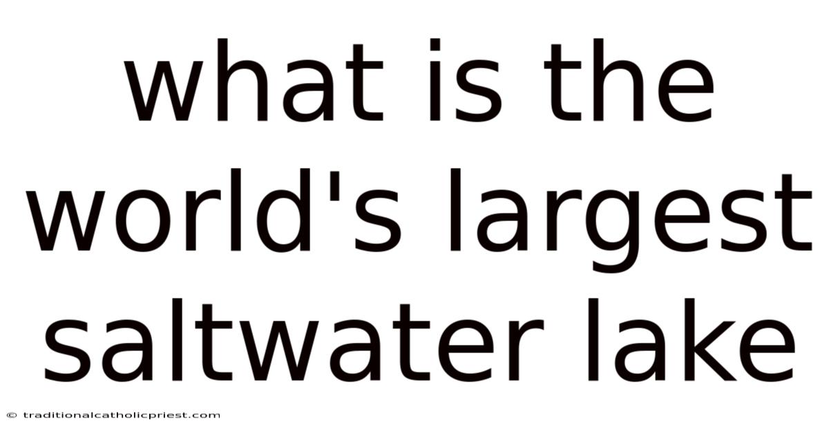 What Is The World's Largest Saltwater Lake