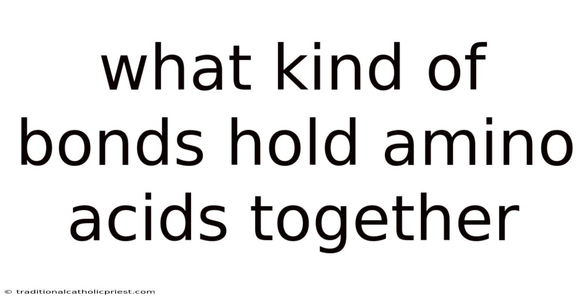 What Kind Of Bonds Hold Amino Acids Together