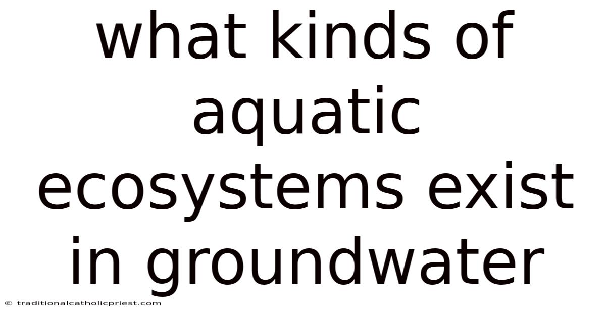 What Kinds Of Aquatic Ecosystems Exist In Groundwater