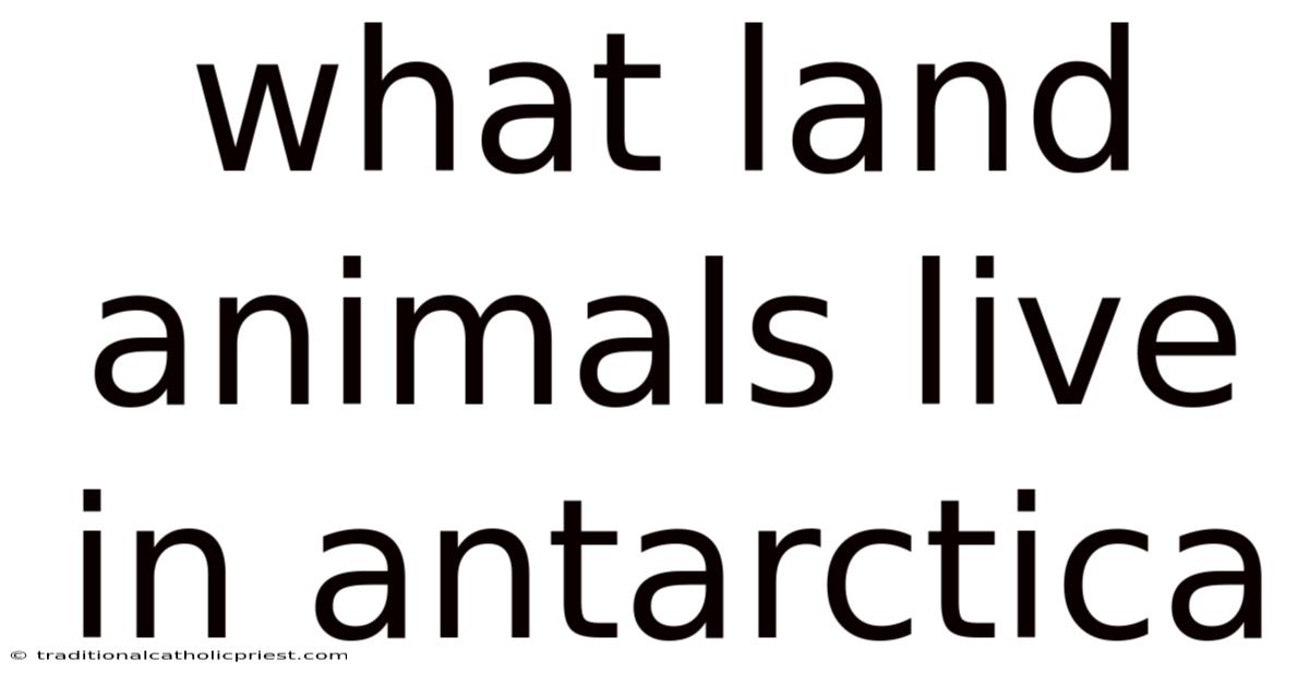 What Land Animals Live In Antarctica