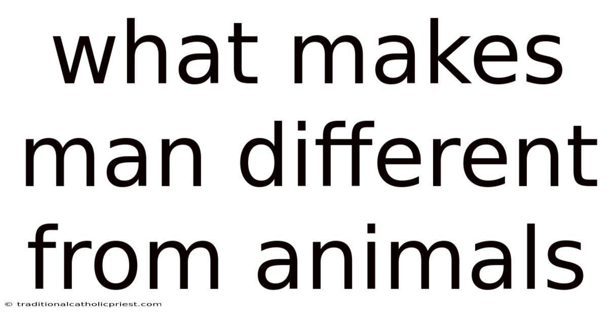 What Makes Man Different From Animals