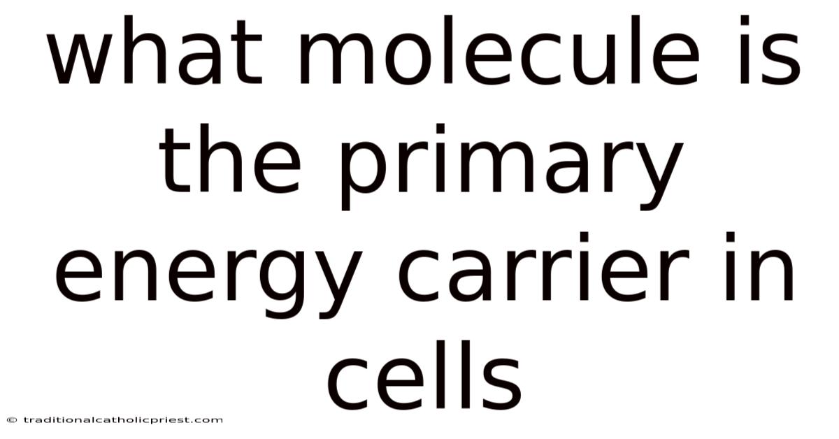 What Molecule Is The Primary Energy Carrier In Cells