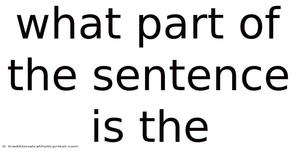 What Part Of The Sentence Is The