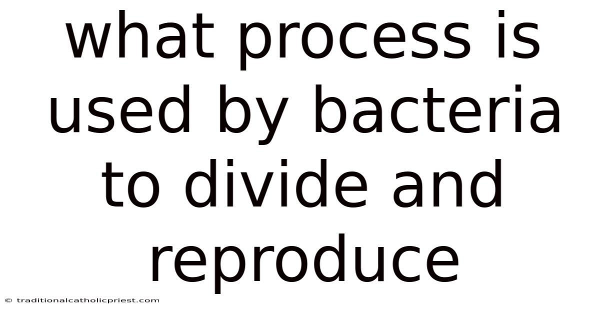 What Process Is Used By Bacteria To Divide And Reproduce