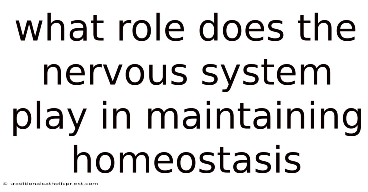 What Role Does The Nervous System Play In Maintaining Homeostasis