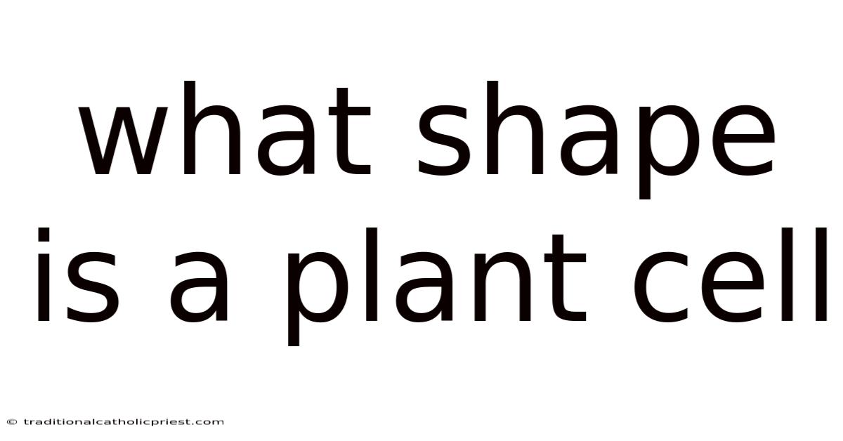 What Shape Is A Plant Cell