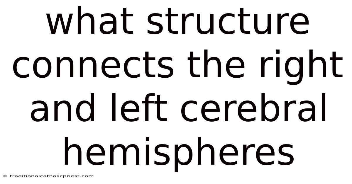 What Structure Connects The Right And Left Cerebral Hemispheres