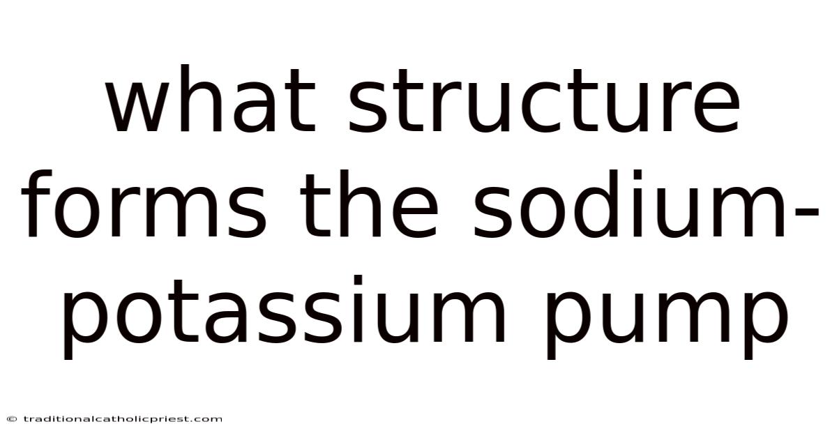What Structure Forms The Sodium-potassium Pump