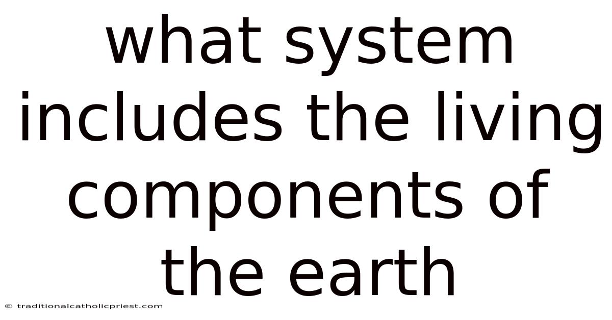 What System Includes The Living Components Of The Earth