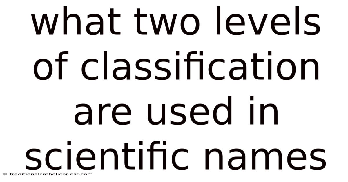 What Two Levels Of Classification Are Used In Scientific Names