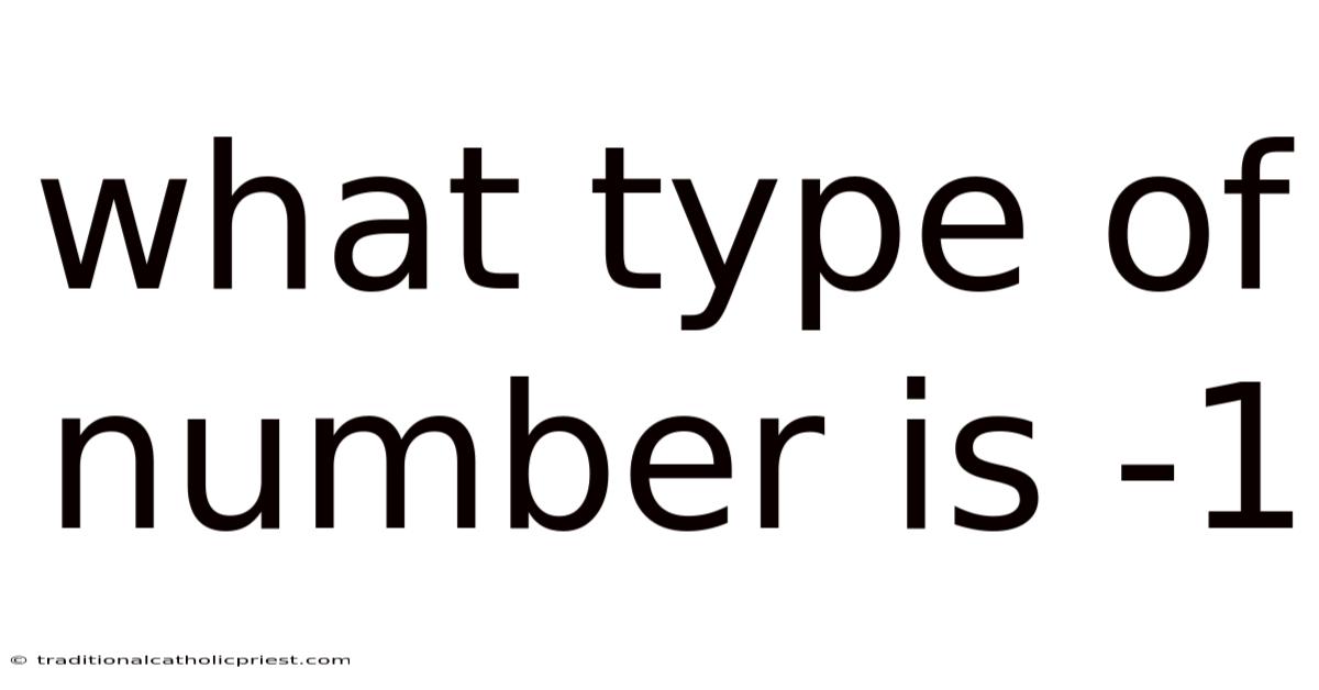 What Type Of Number Is -1