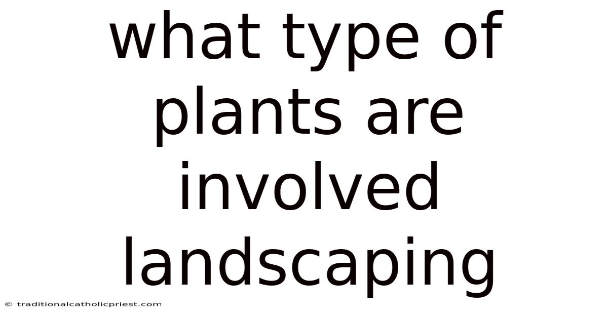 What Type Of Plants Are Involved Landscaping