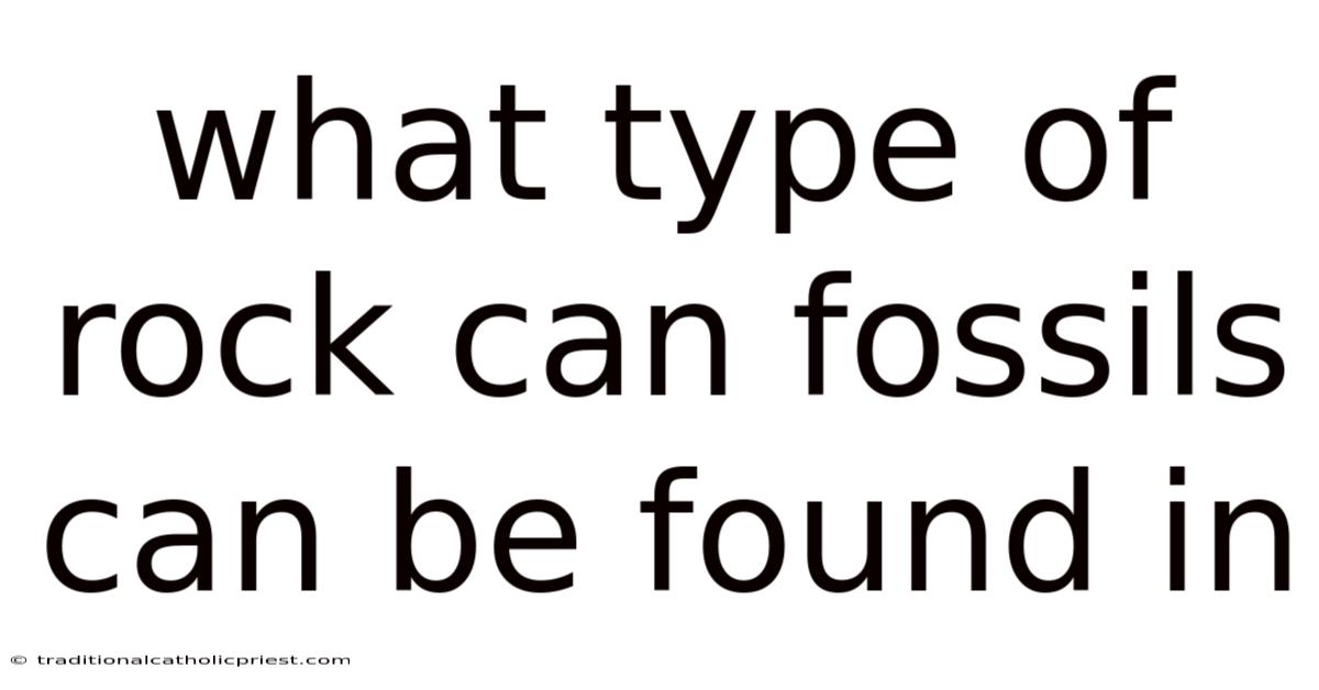 What Type Of Rock Can Fossils Can Be Found In