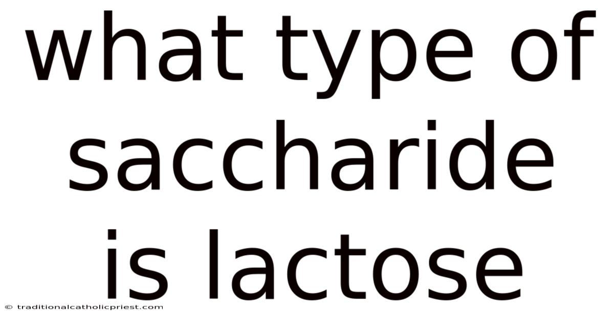What Type Of Saccharide Is Lactose