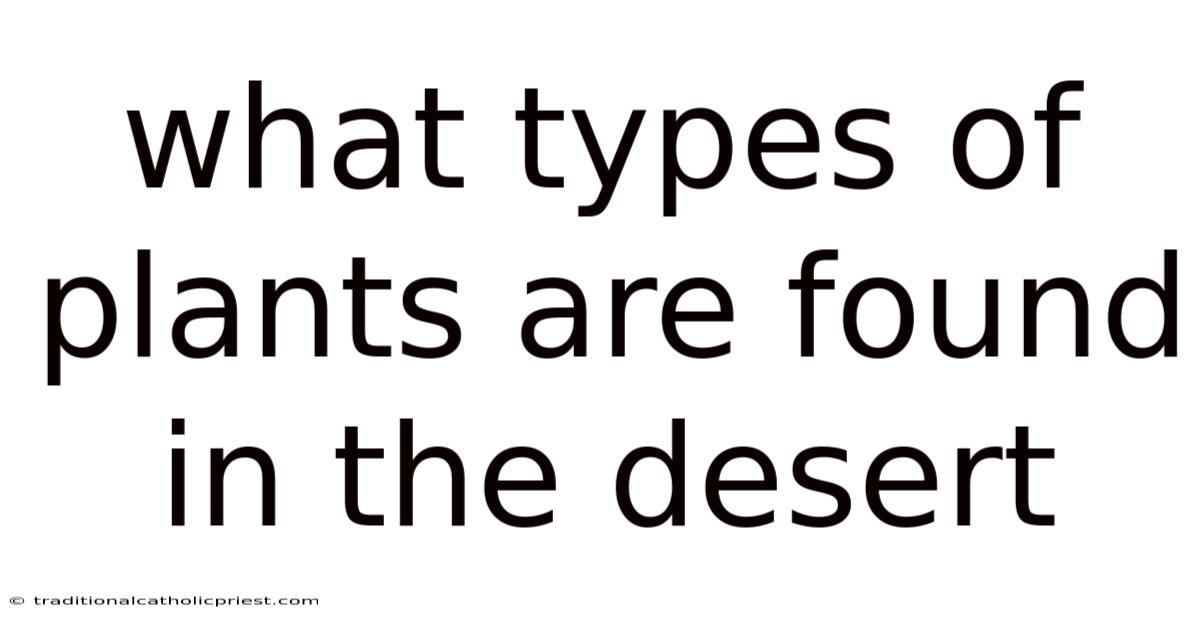 What Types Of Plants Are Found In The Desert
