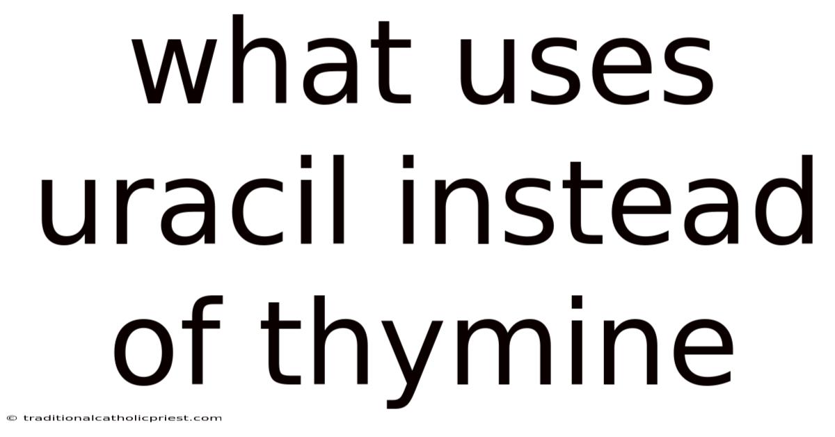 What Uses Uracil Instead Of Thymine