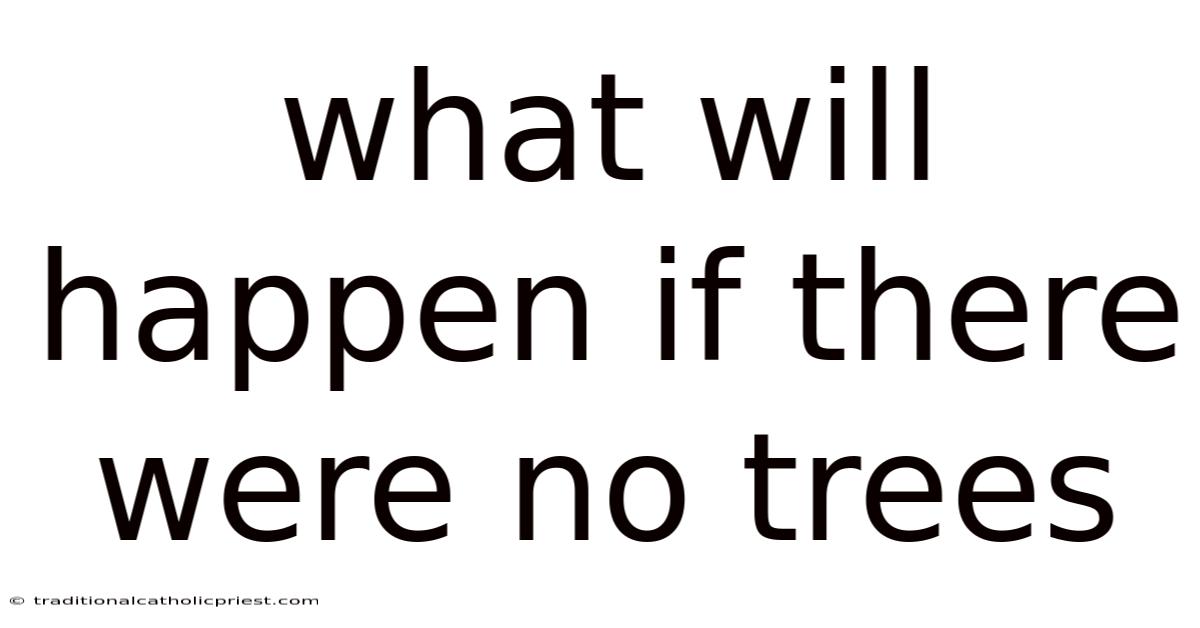 What Will Happen If There Were No Trees