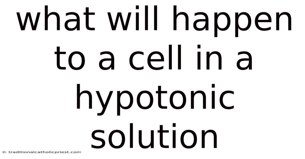 What Will Happen To A Cell In A Hypotonic Solution